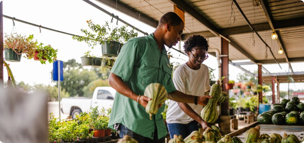 Sustainable Lifestyles Options & Opportunities